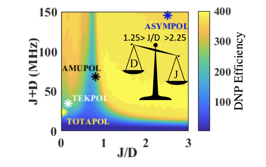 Balancing Dipolar and Exchange Coupling in Biradicals to Maximize Cross Effect Dynamic Nuclear Polarization