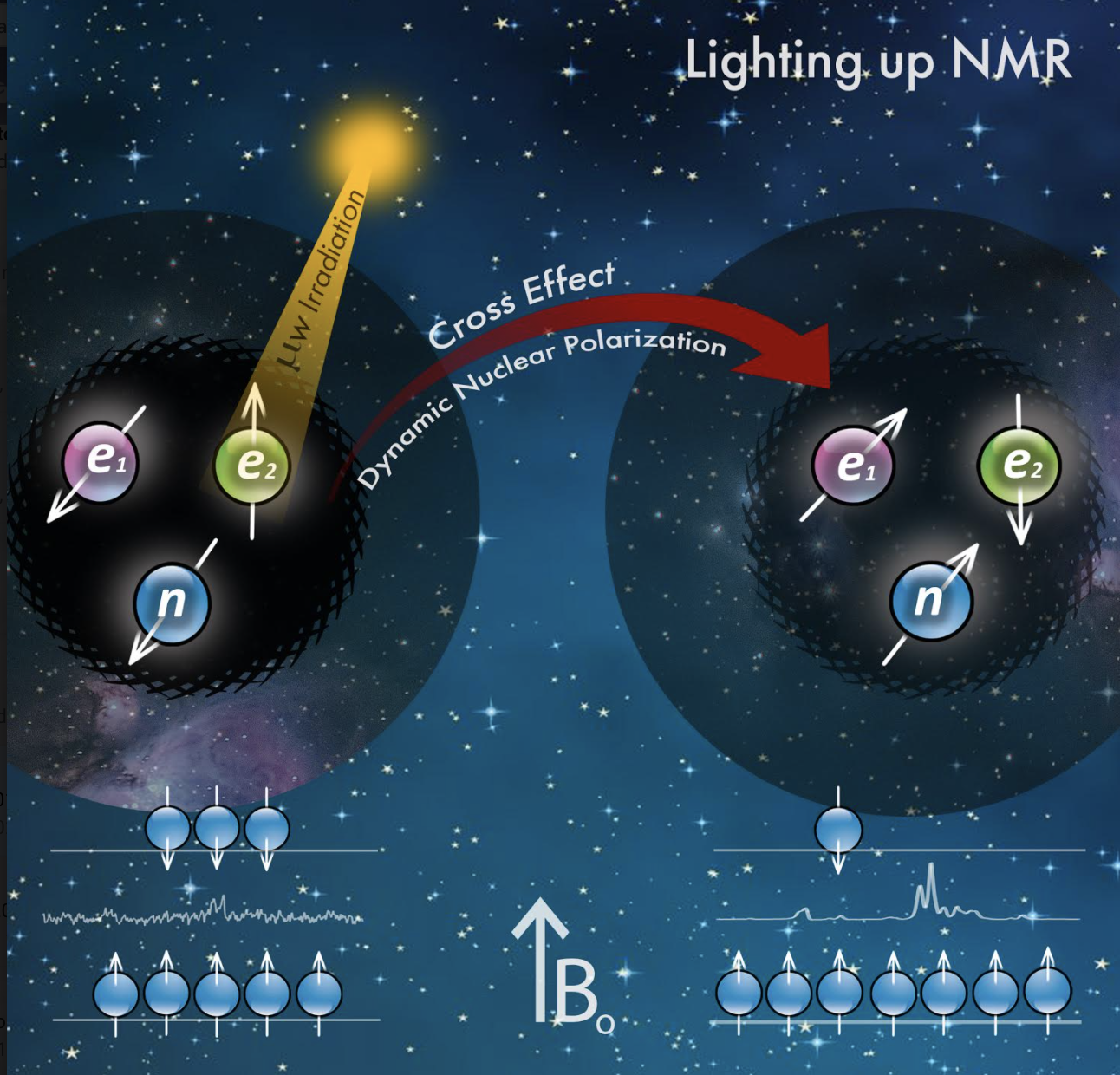 Cross-Effect Dynamic Nuclear Polarization Explained: Polarization, Depolarization, and Oversaturation