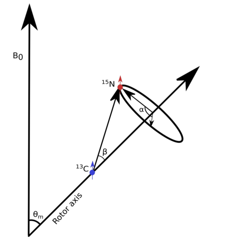 Sine-squared shifted pulses for recoupling interactions in solid-state NMR