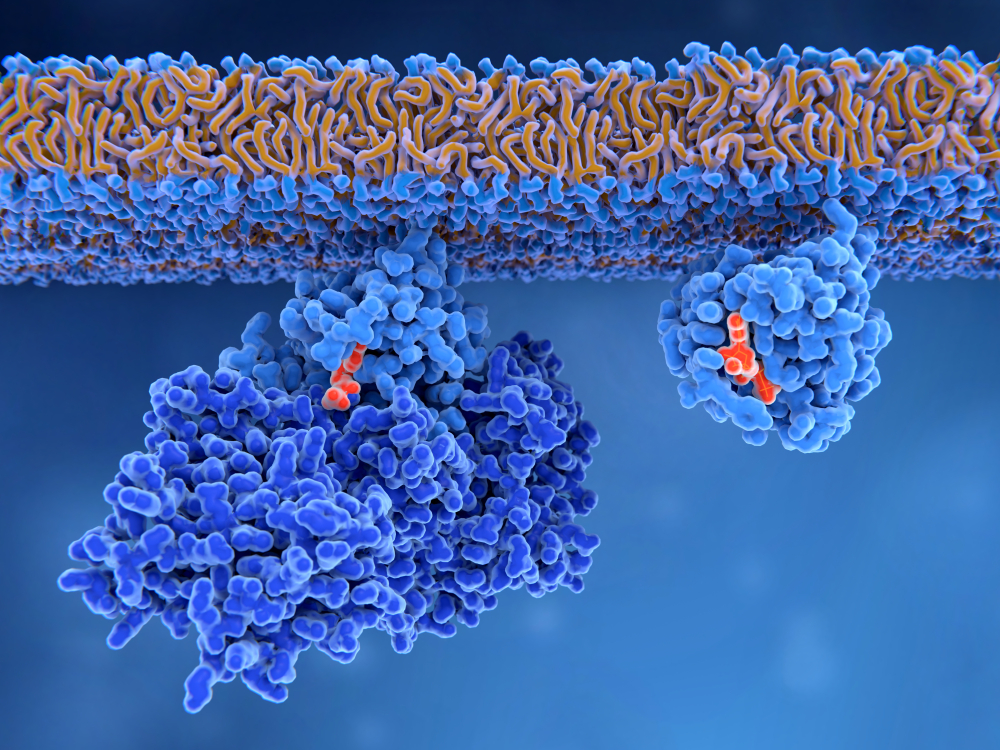 Solid-state NMR